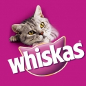 Image de profil de LWHISKAS